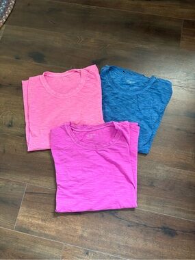 Lane Bryant' Short Sleeve Tees in Pink, Hot Pink & Blue Dyed 100%Cotton
